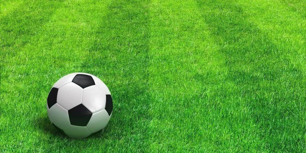 竞彩网最新版手机版应用界面展示